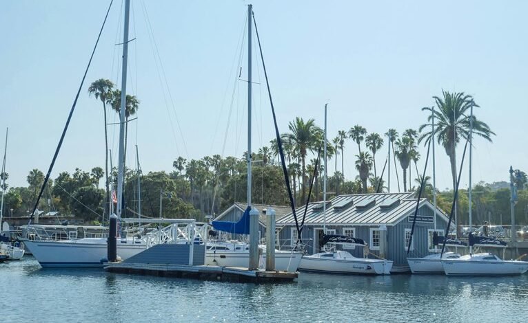 dustin hadley wealth revealed