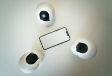 fraud detection phone numbers