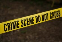 investigation hotline caller protection